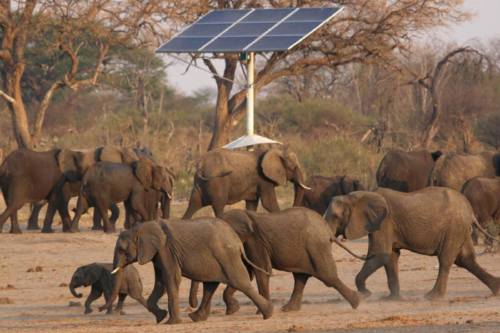 elefantes La reserva tiene sólo una capacidad para 880 elefantes en toda la zona. (Reuters)