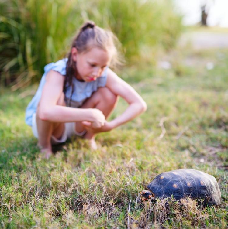 Depositphotos 272730152 XL (1) Depositphotos 272730152 XL (1)