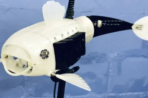 pez robot Imagen: eldesconcierto.cl