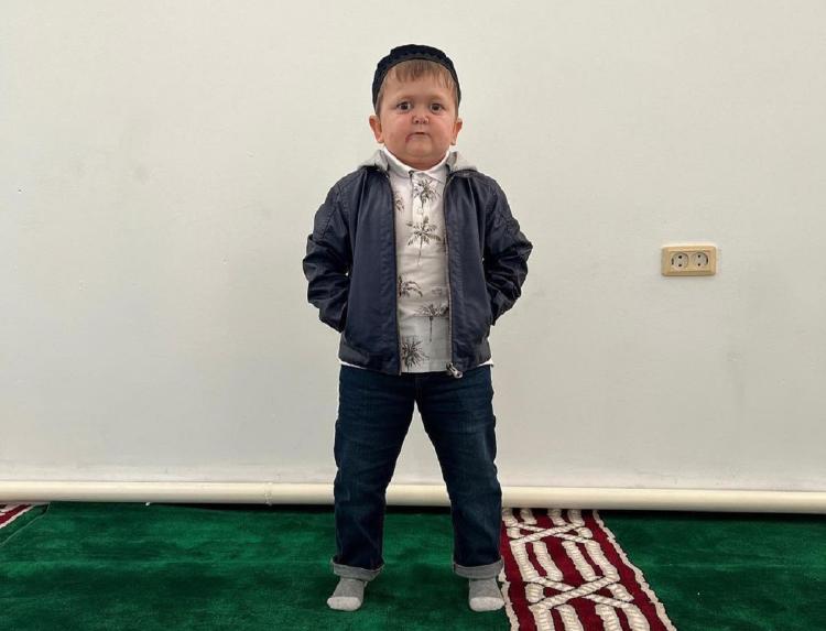 hasbulla magomedov hasbulla magomedov