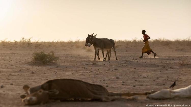 Sequía y hambruna en Somalia