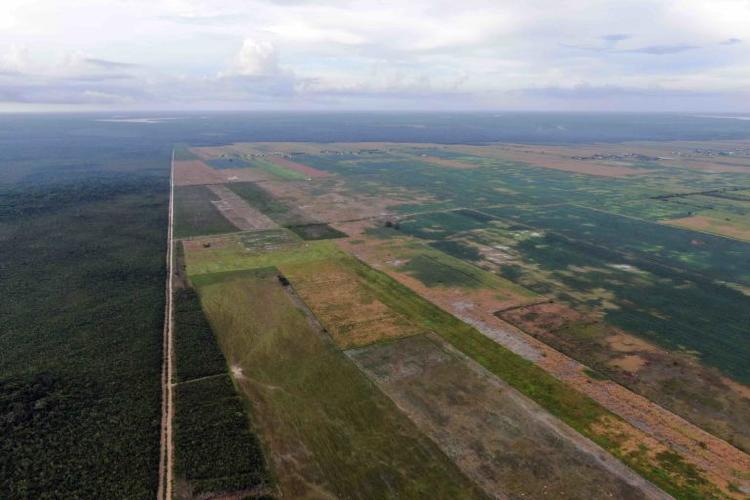 Campos agrícolas de los menonitas en el ejido Salamanca