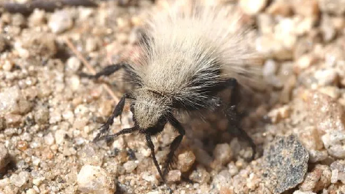 652d0ba9753dd 652d0ba9753dd