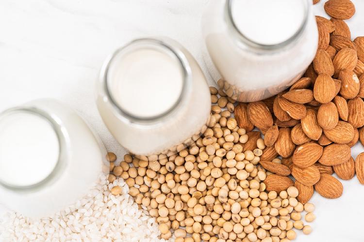 Proteína vegetal Proteína vegetal