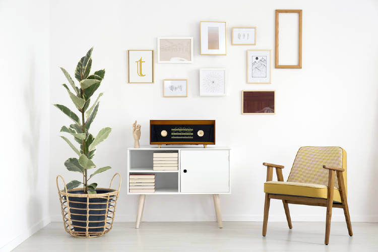 hogar paredes blancas planta feng shui