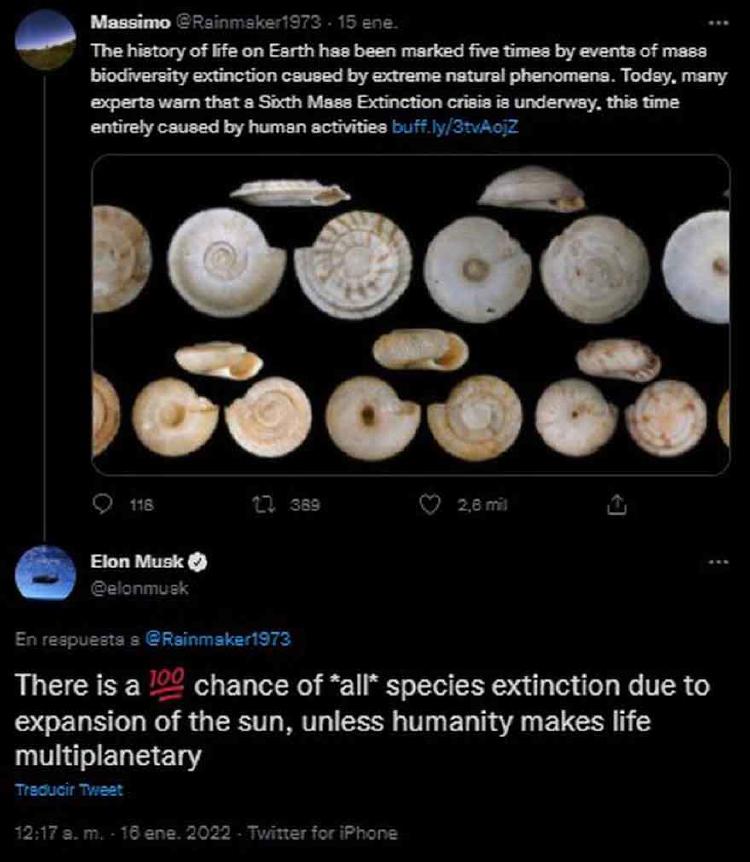 twiitter musk twiitter musk