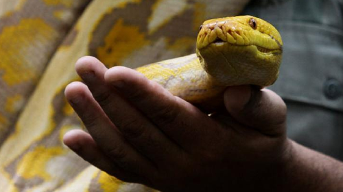 68563704_1004 68563704_1004