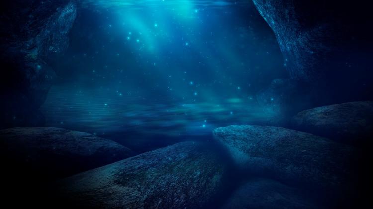 Profundidades del mar Profundidades del mar