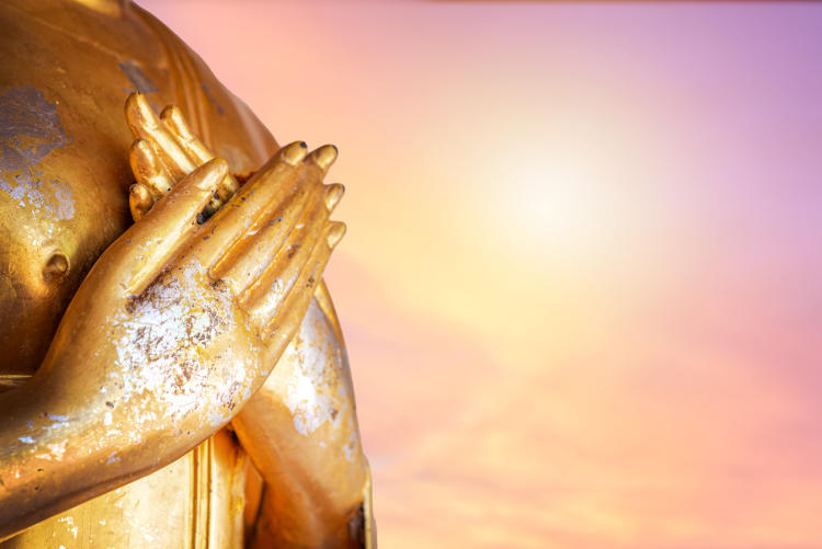 meditación meditación