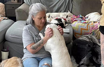 Valerie reid perros Valerie reid perros