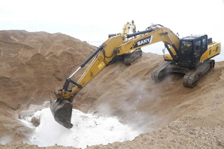 ballena muerta uruguay3 ballena muerta uruguay3