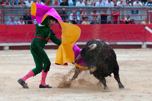 La Unesco excluye la tauromaquia como patrimonio de la humanidad