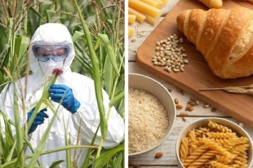 gluten Imagen: Pinterest