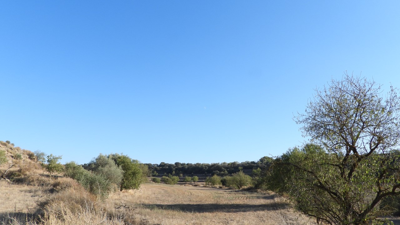 Reto visual Reto visual