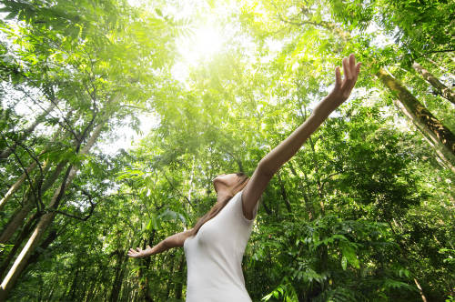 mujer abre sus brazos en un bosque conectando con la naturaleza