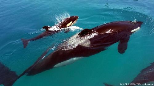 64663708_303 64663708_303