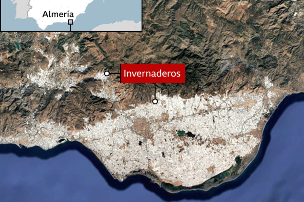 El controvertido \"Mar de Plástico\" que convirtió la región más árida de España en la huerta de Europa© BBC
