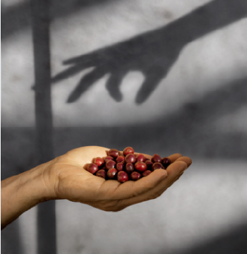 Nespresso foto 1 Nespresso foto 1