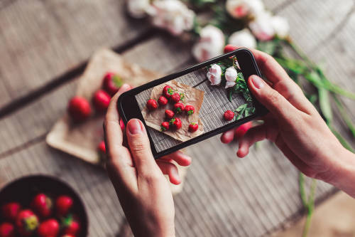 Come+Plantas: la App que te ayudará a comer más vegetales