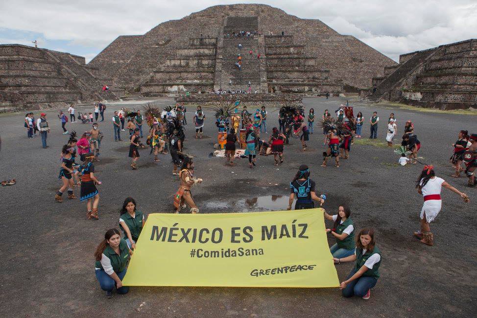 México es Maíz México es Maíz