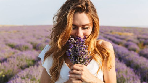 f.elconfidencial.com_original_ec7_932_f19_ec7932f19d8391c58b9e6d46d9e265df f.elconfidencial.com_original_ec7_932_f19_ec7932f19d8391c58b9e6d46d9e265df