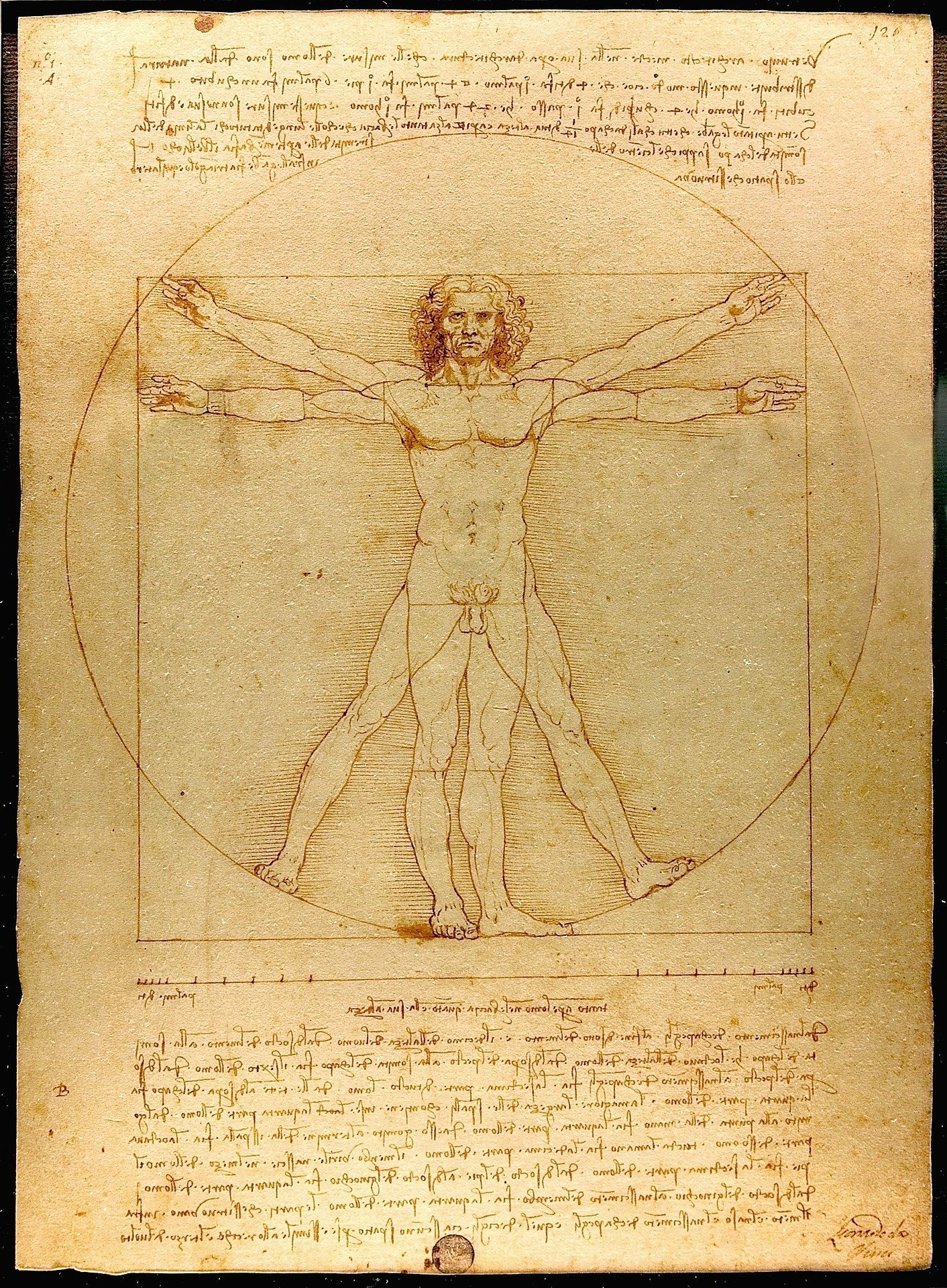 da vinci el hombre vitruvio