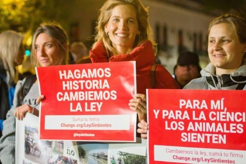 Ley Sintientes Ley Sintientes