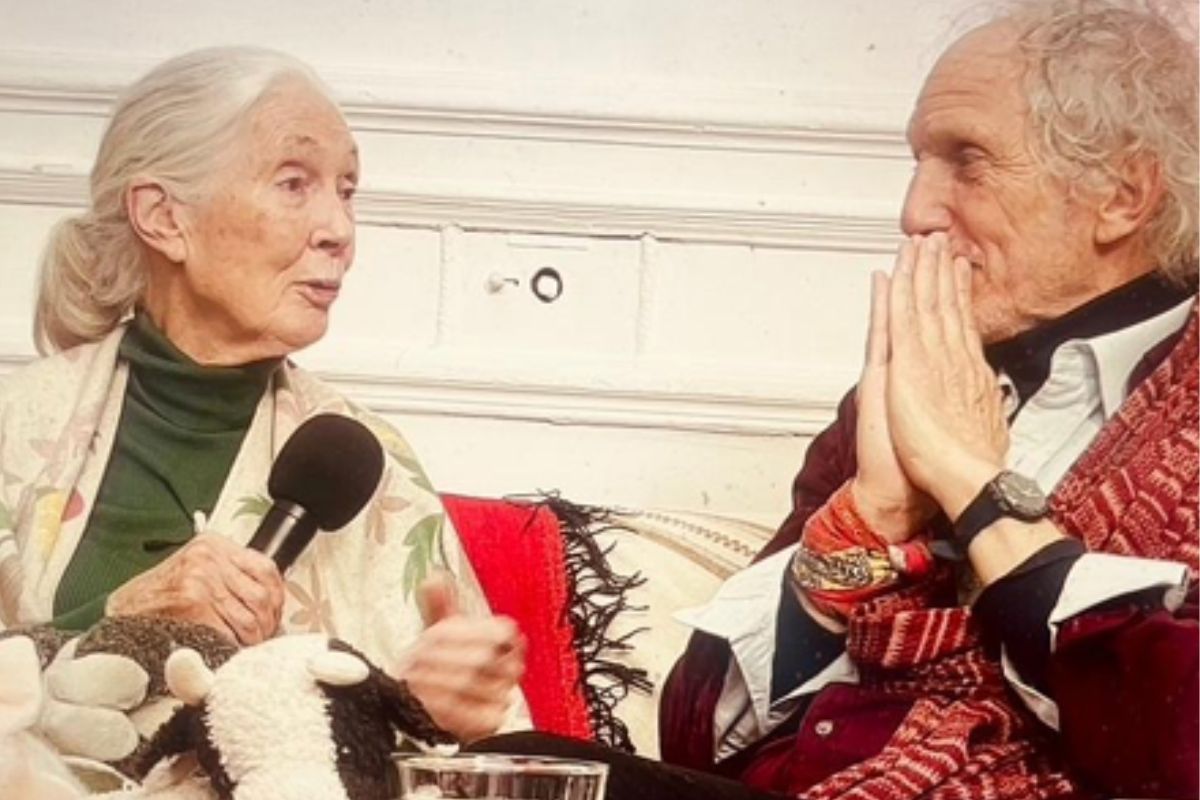 La banda de Jane de los monos