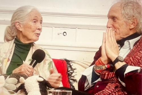 La banda de Jane de los monos La banda de Jane de los monos