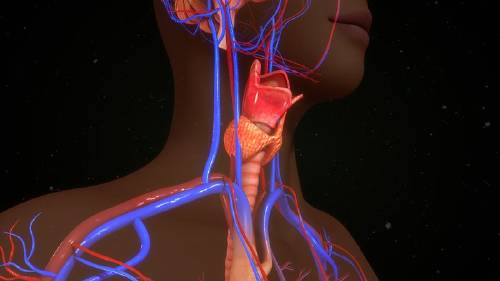 Tips para saber si las hormonas están bien
