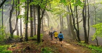 turismo sostenible bosque turismo sostenible bosque