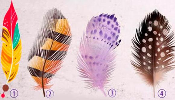 test plumas test plumas