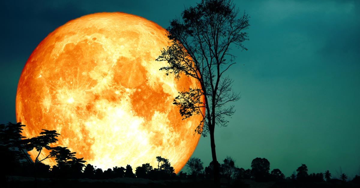 Luna de Cosecha Luna de Cosecha