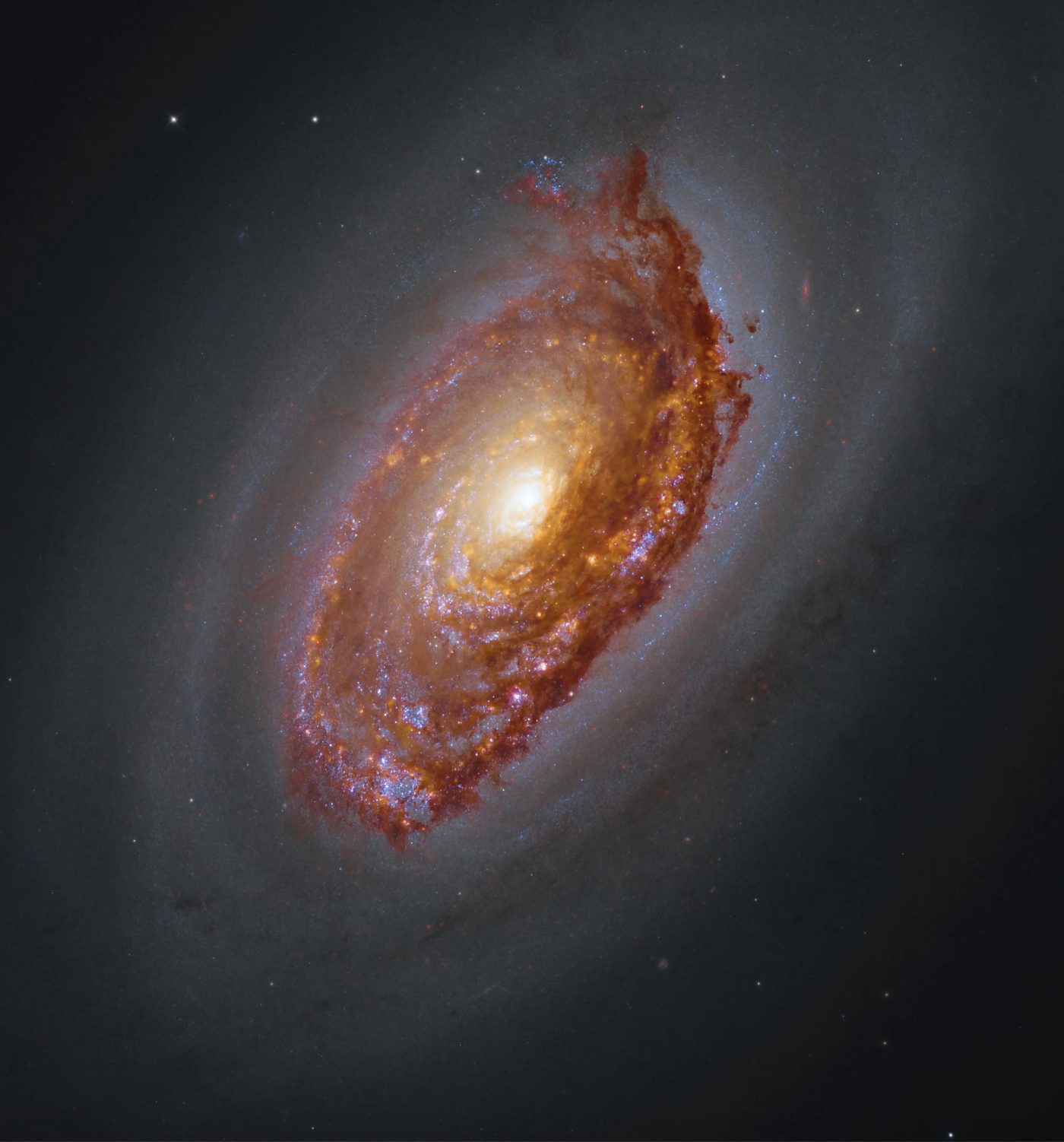 NASA, CSA, ESA, F. Belfiore (European Southern Observatory – Germany), J. Lee (Space Telescope Science Institute), A. Leroy (The Ohio State University), and D. Thilker (The Johns Hopkins University); Processing: Gladys Kober (NASA/Catholic University of America)