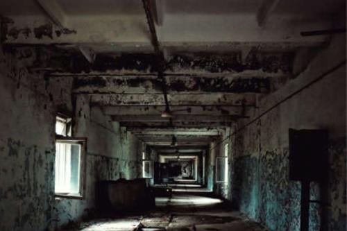 moho Imagen: msn.com