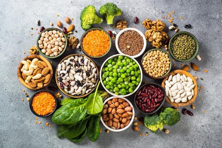Proteína vegetal Proteína vegetal