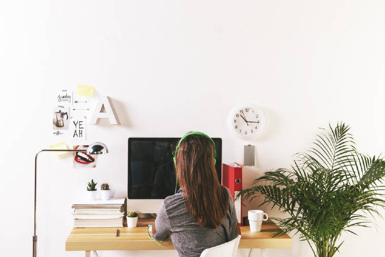 plantas en el trabajo plantas en el trabajo