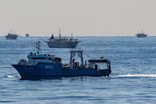 GP_Pesqueros_02 GP_Pesqueros_02