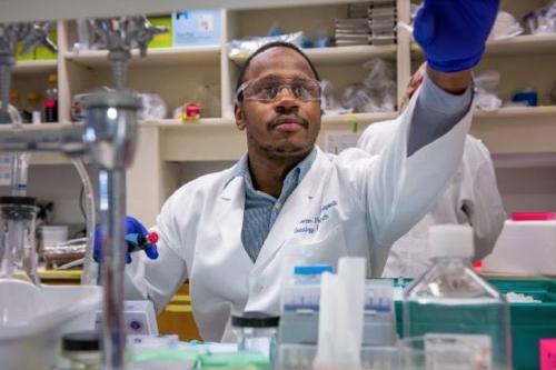 medico-refugiado medico-refugiado