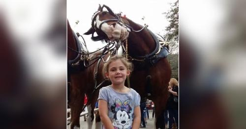 Niña posa para foto caballo sonriente Niña posa para foto caballo sonriente