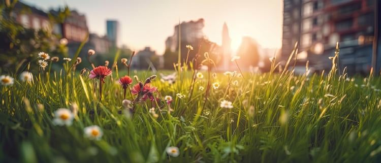 AdobeStock 584215803 AdobeStock 584215803