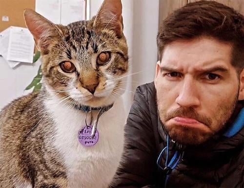 gato profesor gato profesor