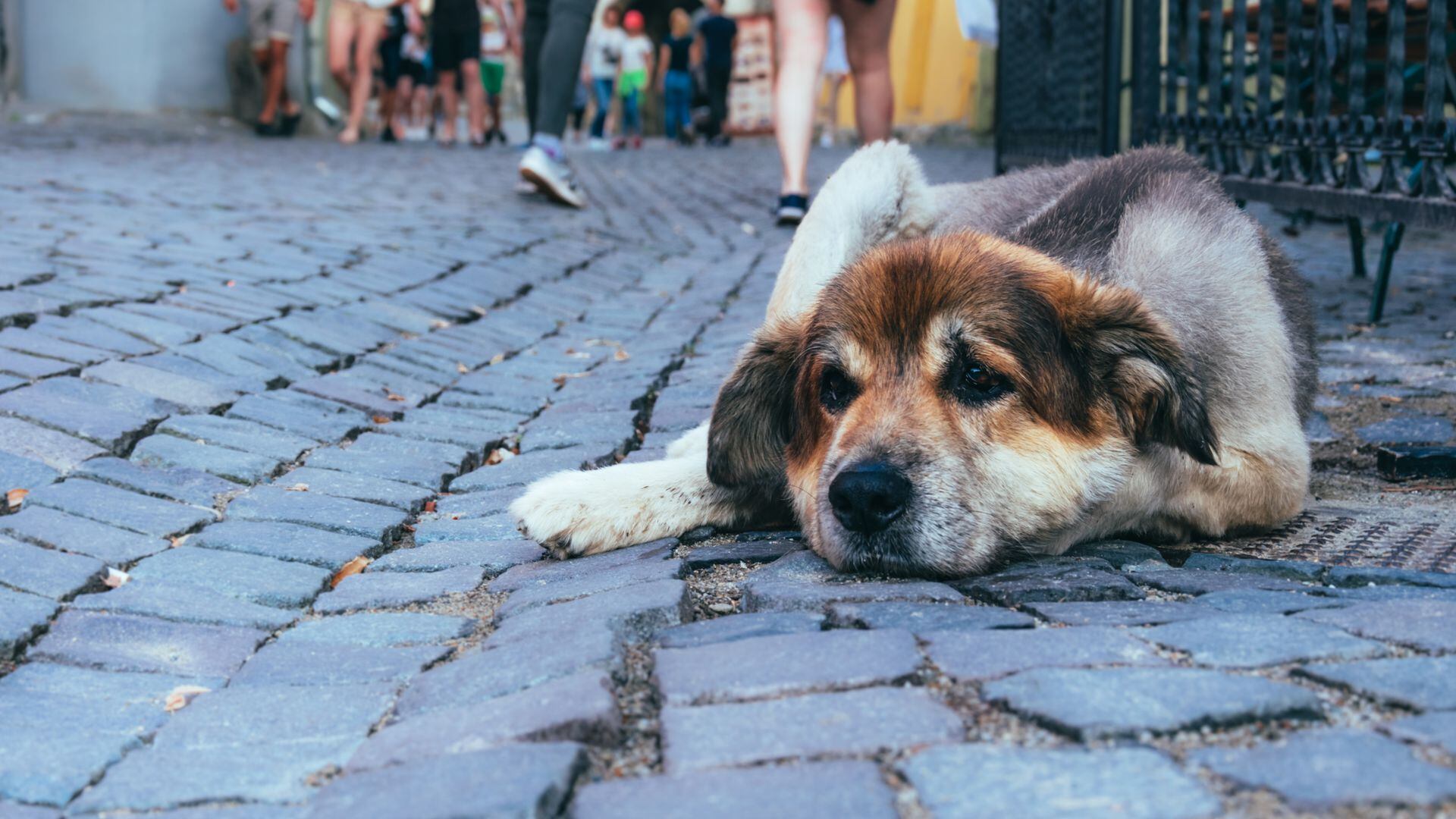 ZLRGCTVMB5BIZHLPOYYHXYOJV4 ZLRGCTVMB5BIZHLPOYYHXYOJV4