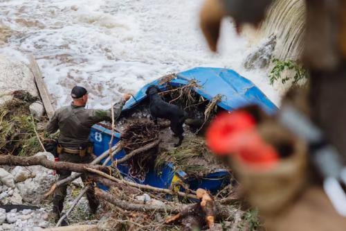 inundacion eeuu 05 de julio 2025, EE.UU., Una unidad K9 del Texas Game Warden realiza búsquedas en las zonas dañadas por las inundaciones junto al Camp Mystic en Hunt. Foto: San Antonio Express News/Express News vía ZUMA Press Wire/dpaSan Antonio Express News Express News via ZUMA Press Wire