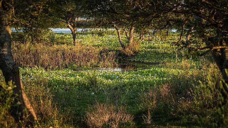 6437d8fb 10 eduardo bodino 32 1024x576 6437d8fb 10 eduardo bodino 32 1024x576