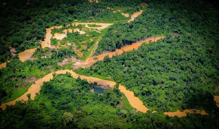 vía ilegal de más de 150 kilómetros en territorio Yanomami