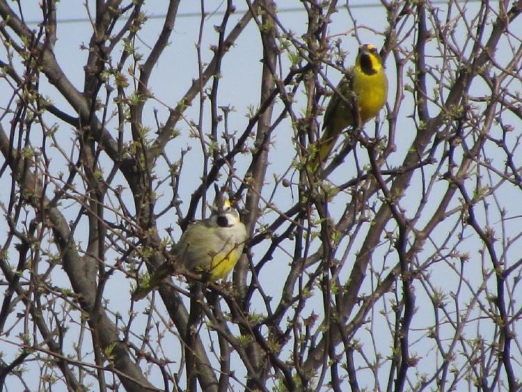 IMG 20221003 WA0044 IMG 20221003 WA0044