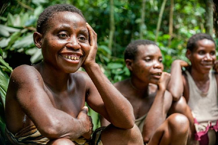 baka indigenas congo mujeres indígenas baka congo africa