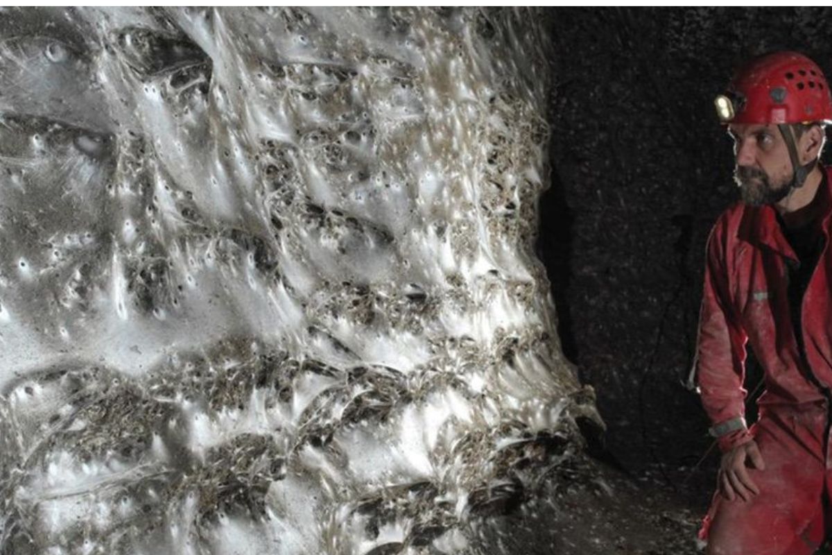 Parte de la gran telaraña colonial en la Cueva de Azufre. (Urák et al., Subterr. Biol., 2025)