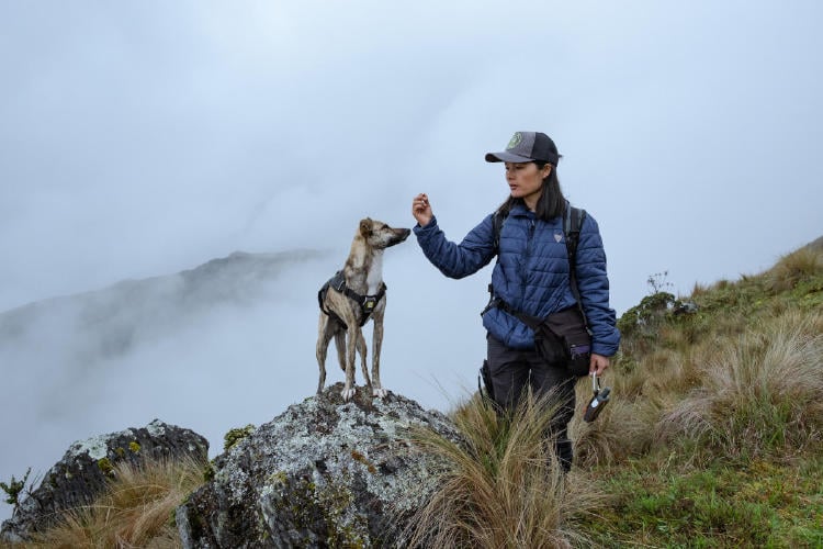 Ruthmery Pillco Huarcaya biologa mascota2 Ruthmery Pillco Huarcaya biologa mascota2